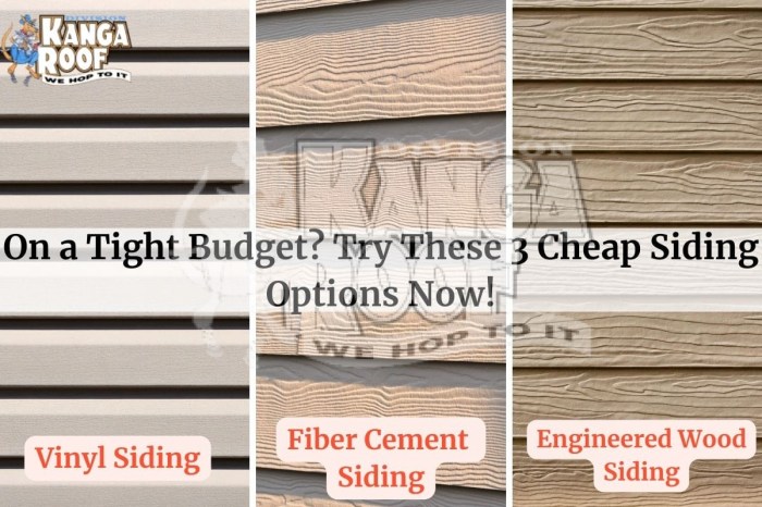 On A Tight Budget? Try These 3 Cheap Siding Options Now!